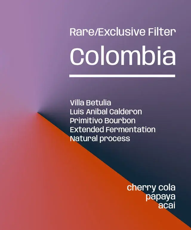 Colombia Villa Betulia Primitivo