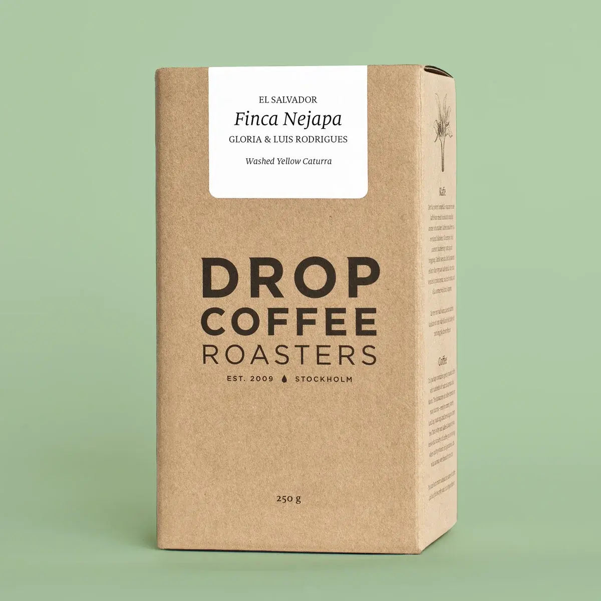 Finca Nejapa, Washed Yellow Caturra, El Salvador