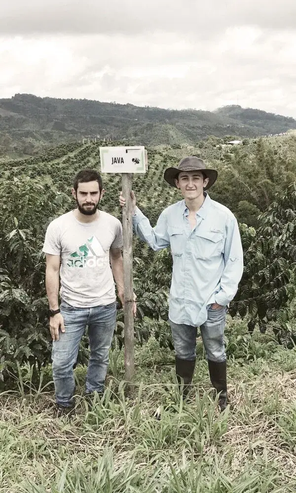 El Vergel Decaf