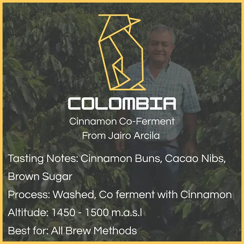 Colombia - Cinnamon Fermented