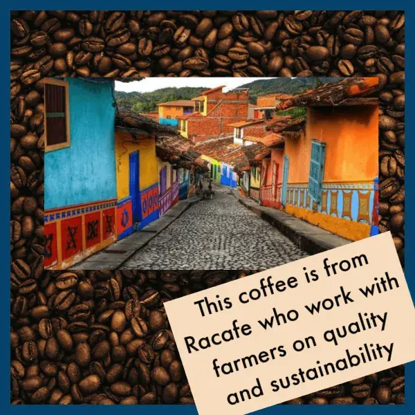 Colombian Medellin Excelso