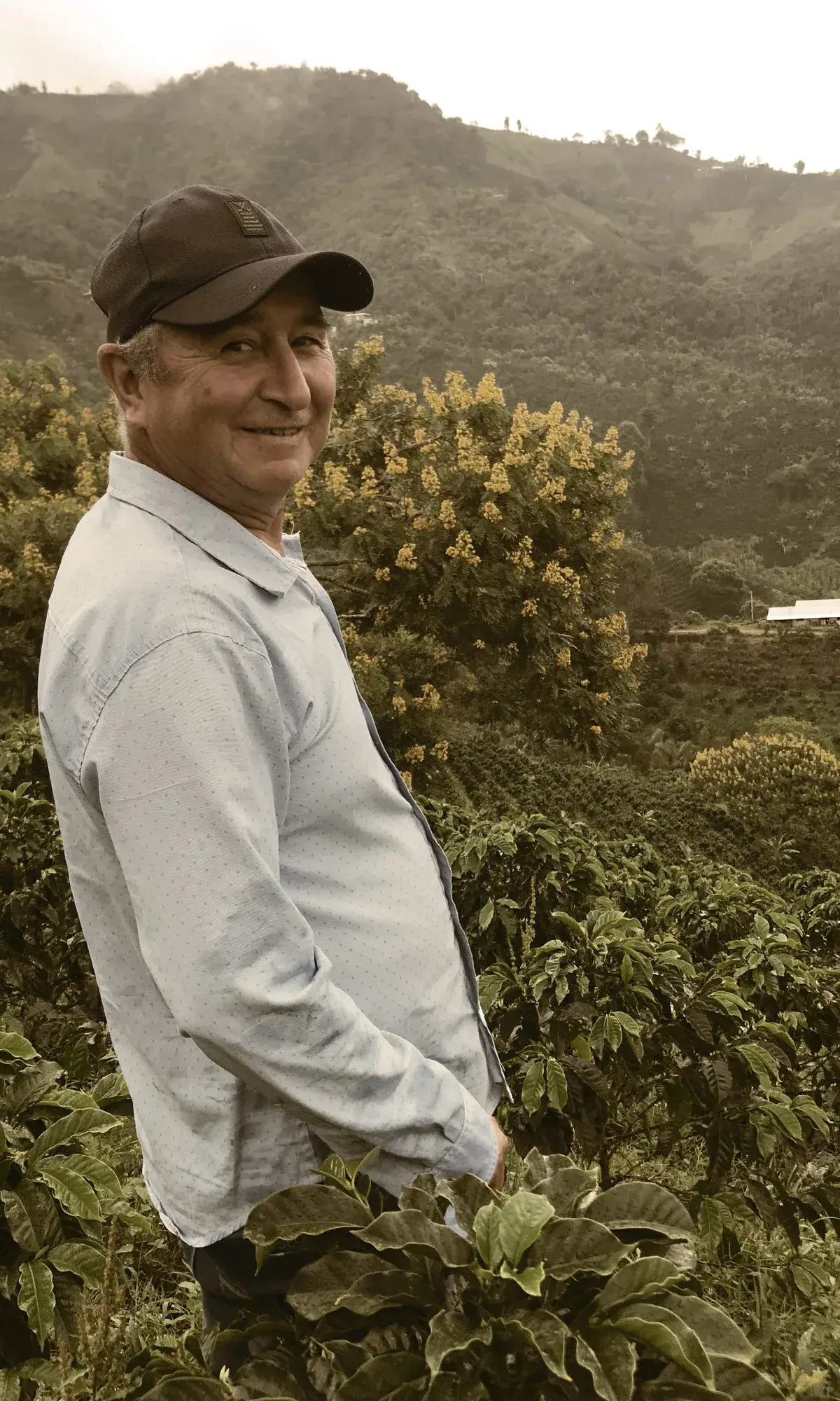 La Cabaña