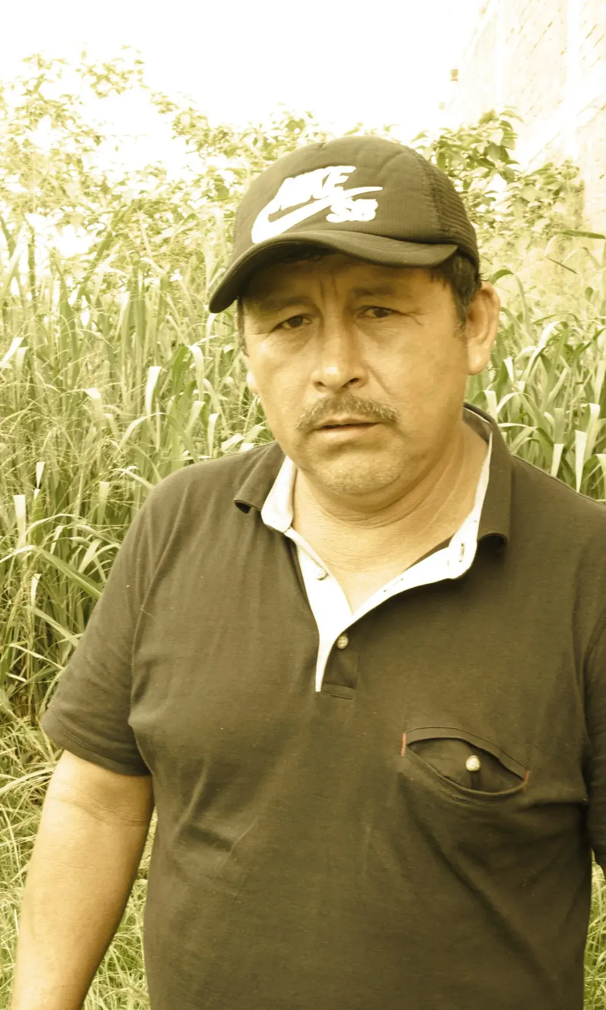El Laurel Gesha