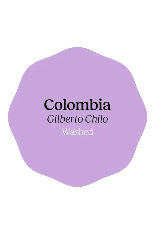 Colombia Gilberto Chilo Washed