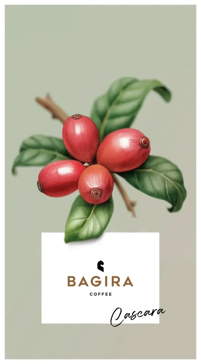 Cascara Colombia Argote