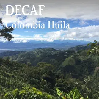 Colombia Huila Sugarcane Decaf