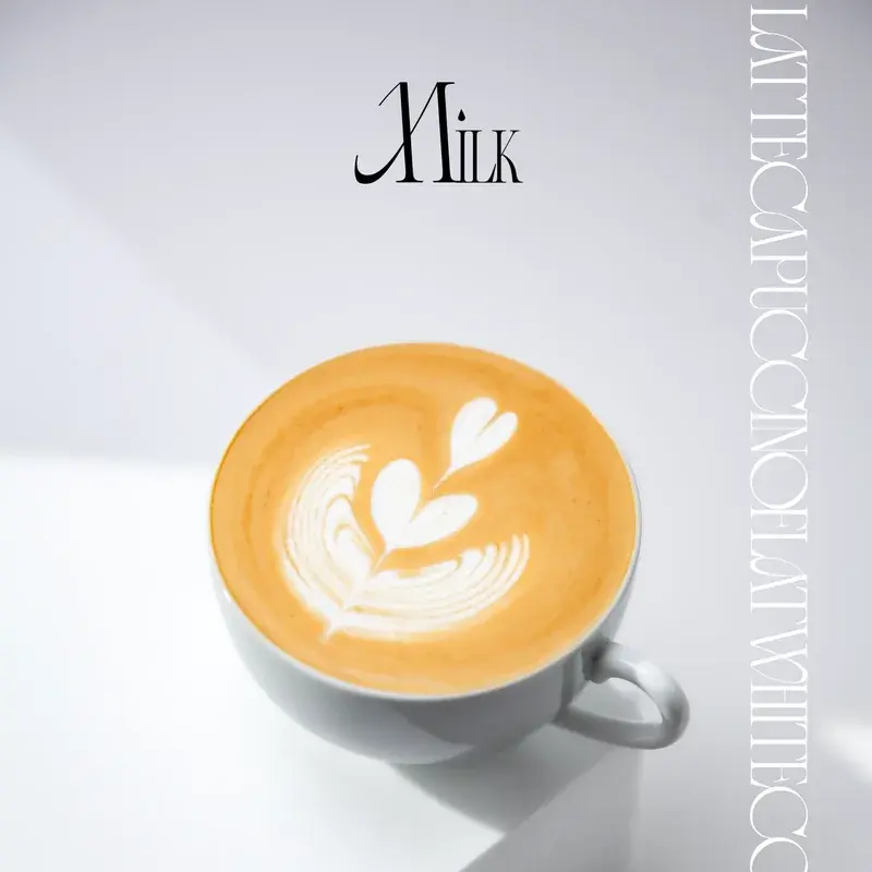 MILK n°1