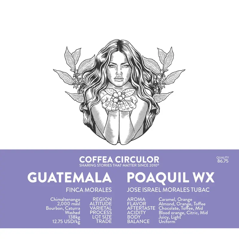 GUATEMALA Poaquil Washed WX