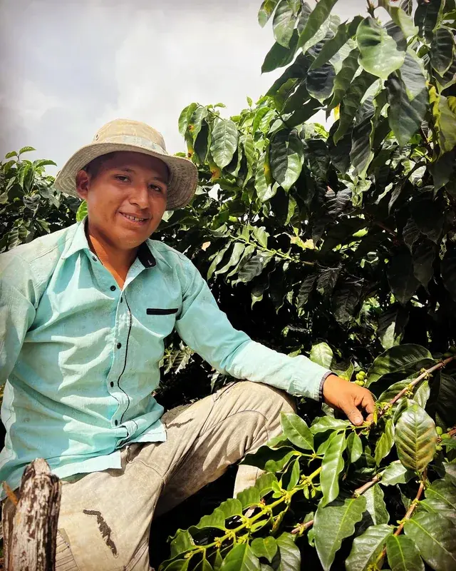 Bolivia Caranavi Rosita Geisha