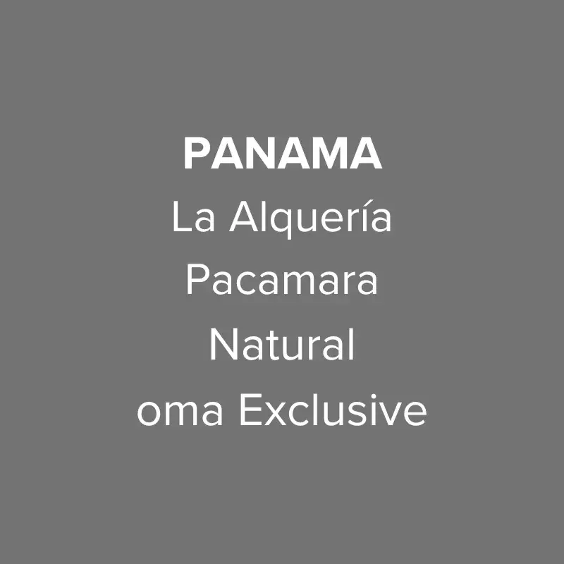 Panama Abbraccio Finca La Alquería Pacamara Natural