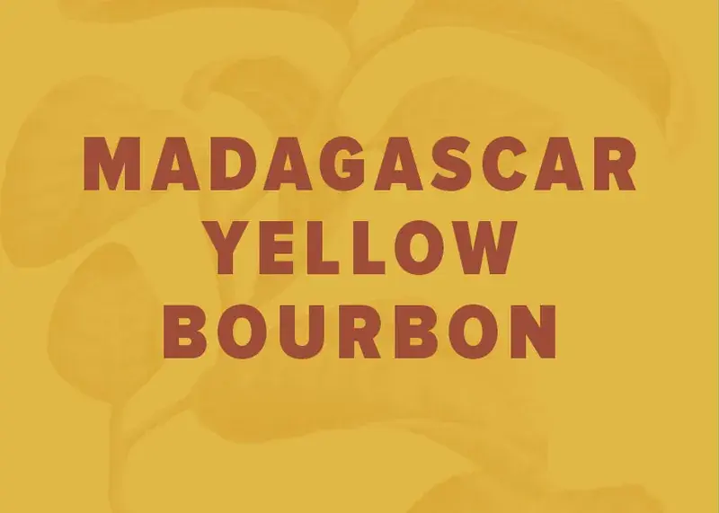 Madagascar Yellow Bourbon Natural