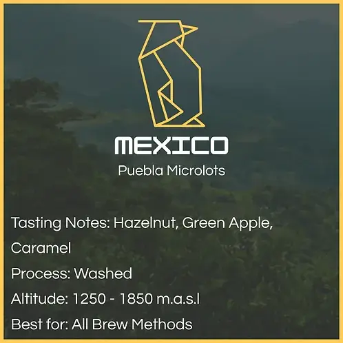 Mexico - Puebla Microlots