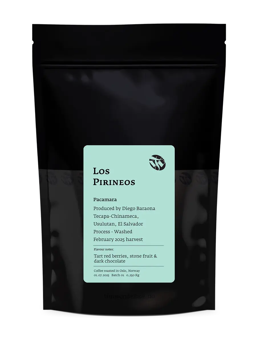 Los Pirineos Pacamara