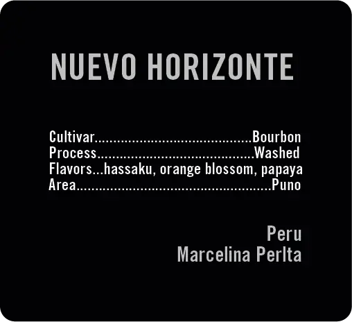 Nuevo Horizonte