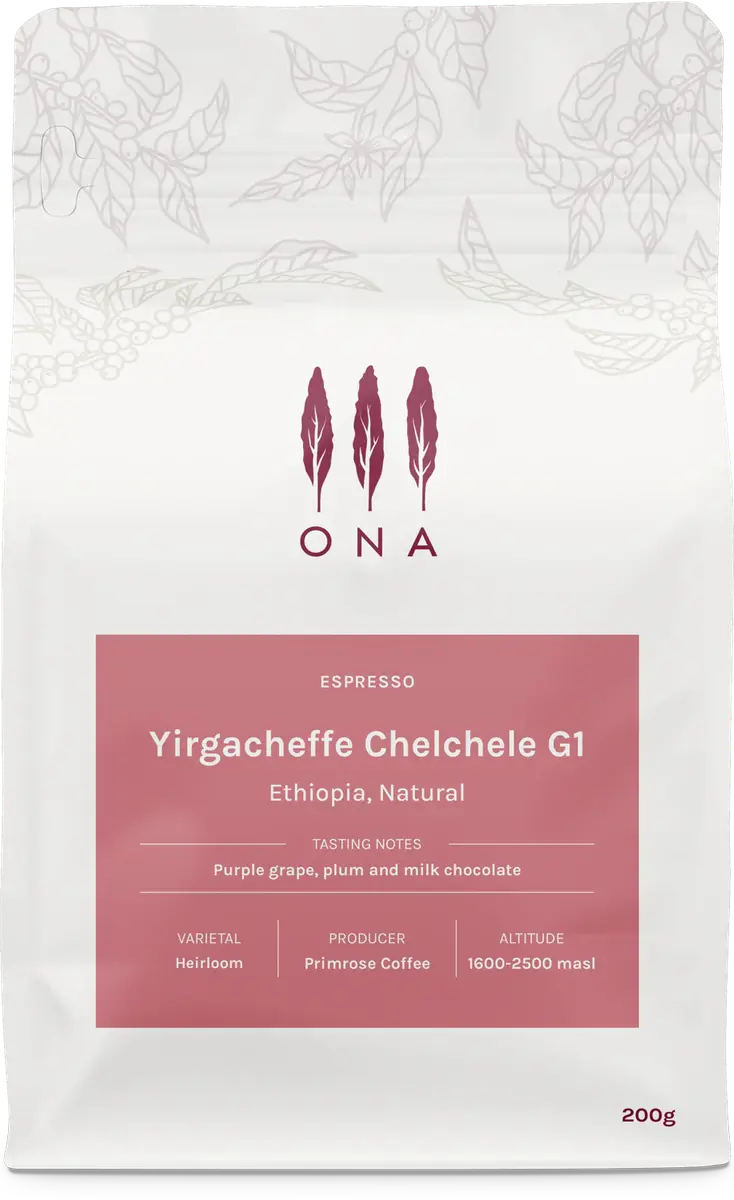 Yirgacheffe Chelchele G1