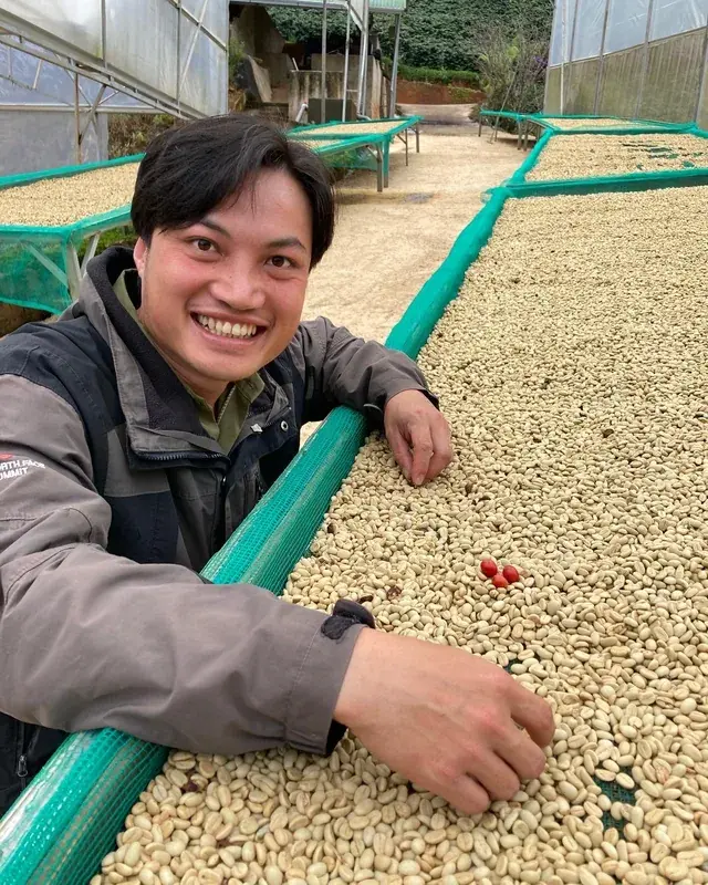 Vietnam Java Longberry Champagne Natural