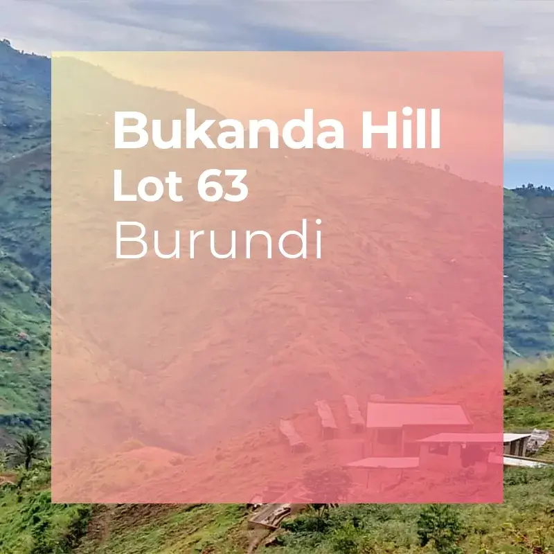 Bukanda Hill, Lot 63