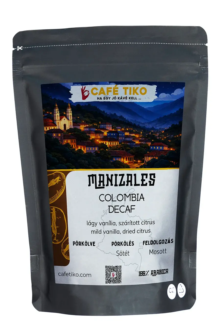 Manizales