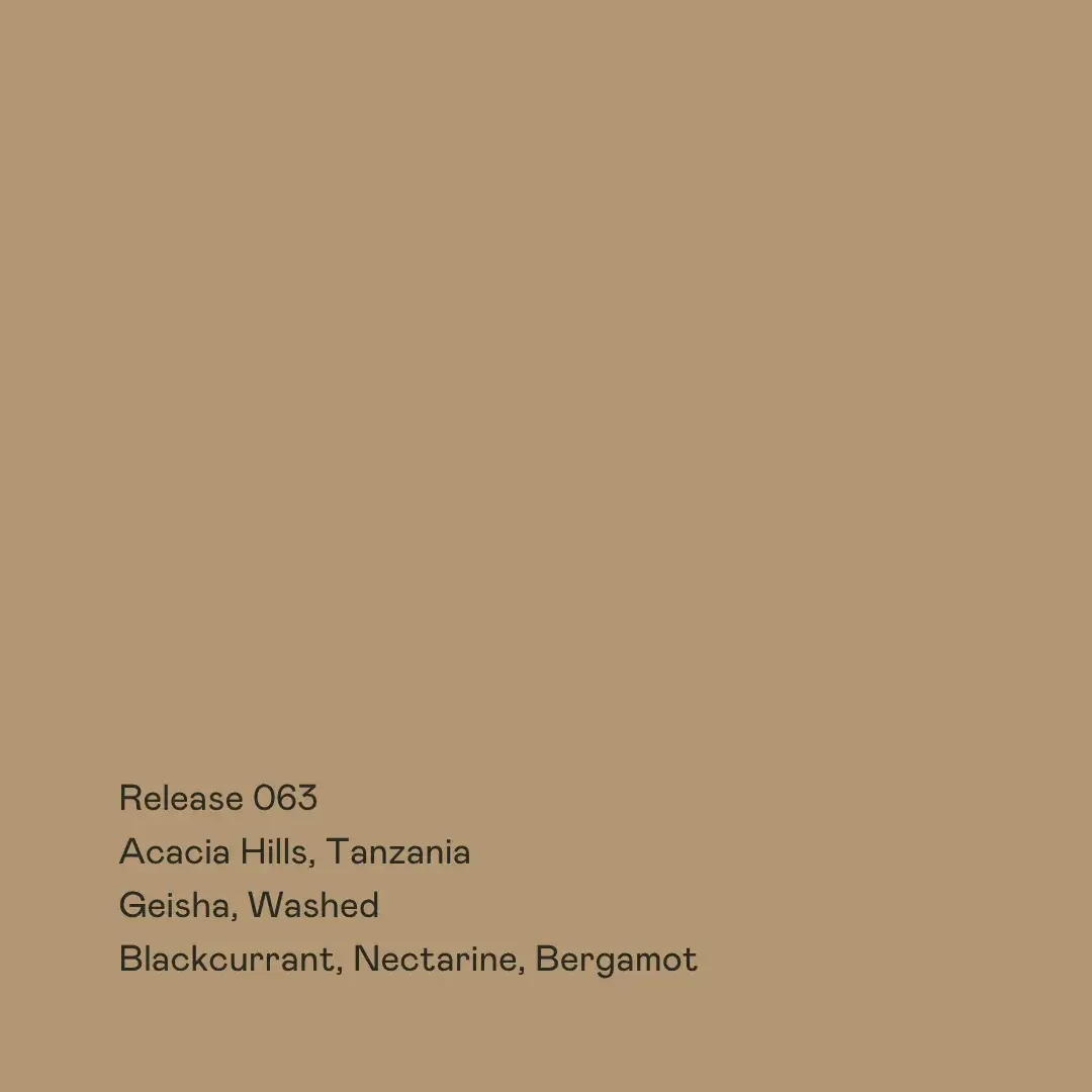 Release 063 - Acacia Hills, Gesha Washed