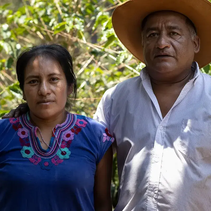 Mexiko Juba Guerrero