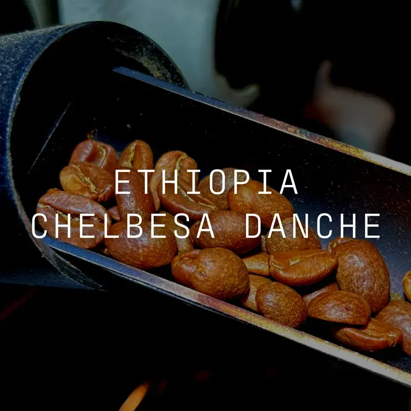Chelbesa Danche
