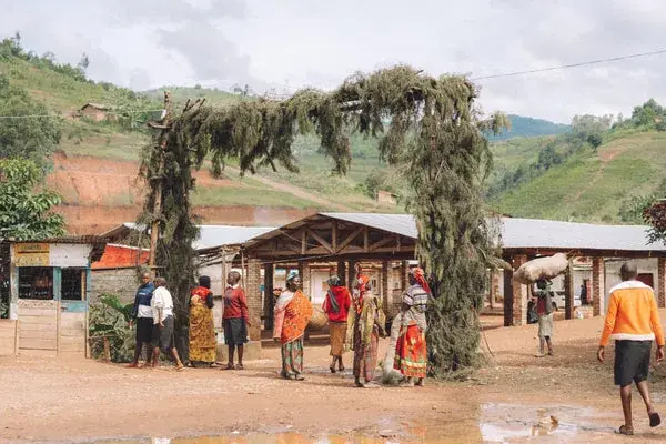 Burundi Bumba Hill Natural