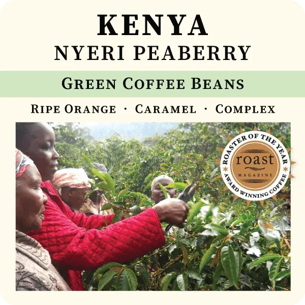 Kenya Nyeri Peaberry