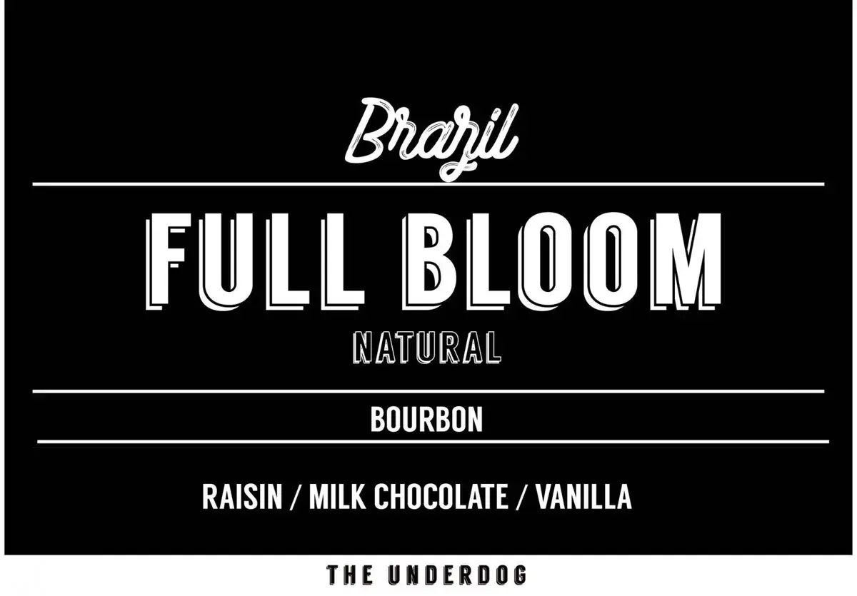 Brazil, Full Bloom