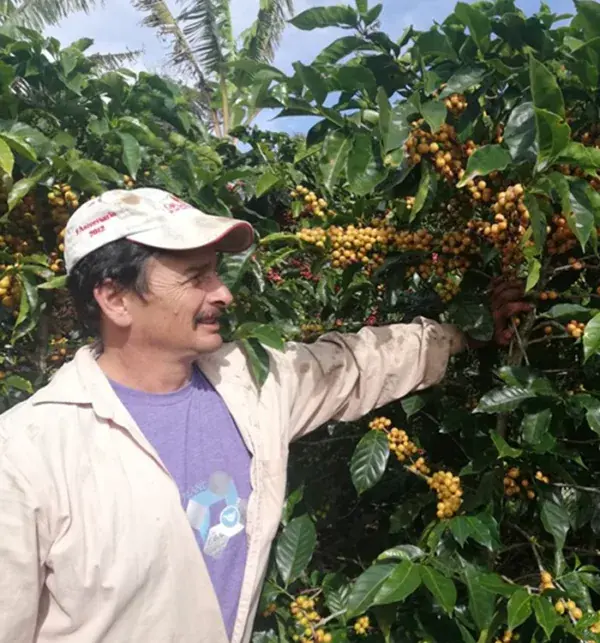 El Alumbre de Tarrazu, Cordillera del fuego