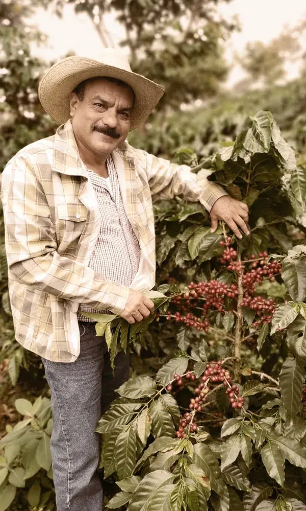 El Limón