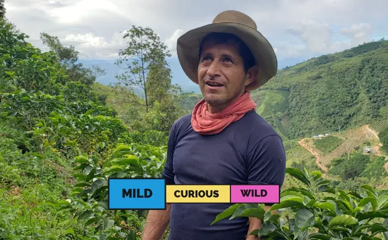 Colombia EA Decaf