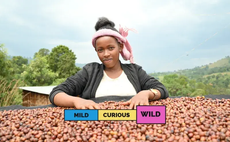 Ethiopia Abedo Abamecha