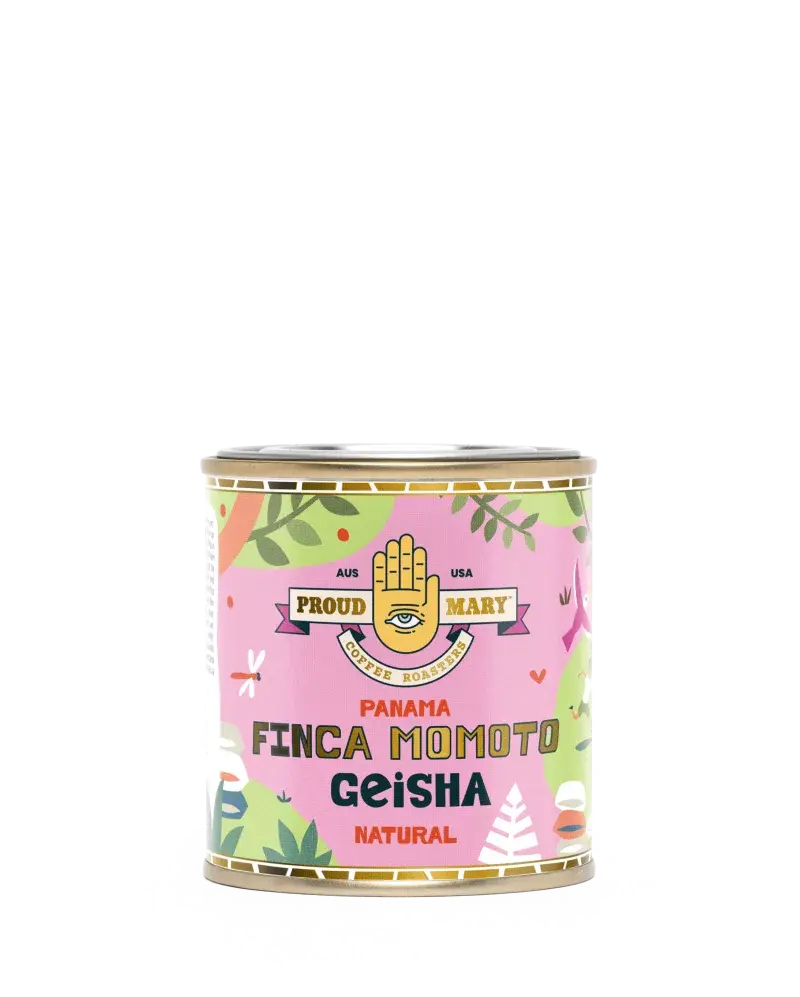 Finca Momoto - Camino